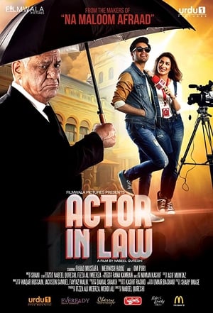 Actor in Law (2016) Movie Pakistani [700MB] Download HD Poster Download - filmyfly