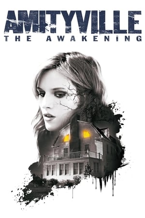 Amityville: The Awakening (2017) Hindi Dual Audio 300MB HD Poster Download - filmyfly
