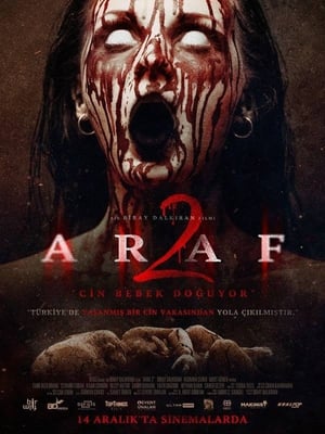 Araf 2 2019 Hindi Dual Audio 300MB HD Poster Download - filmyfly