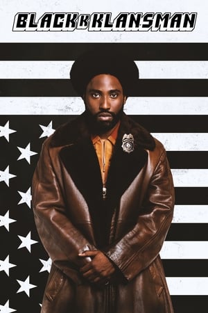 BlacKkKlansman (2018) Hindi Dual Audio 420MB