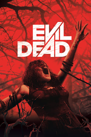 Evil Dead 2013 Hindi Dual Audio [760MB]