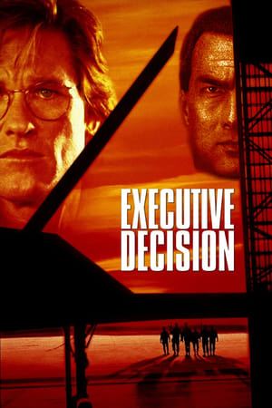 Executive Decision (1996) Hindi Dual Audio [1GB] HD Poster Download - filmyfly
