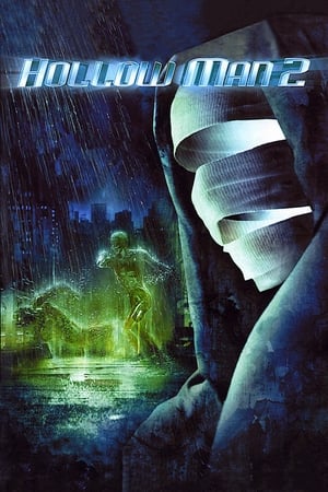 Hollow Man 2 2006 100mb Hindi Dual Audio movie Download HD Poster Download - filmyfly