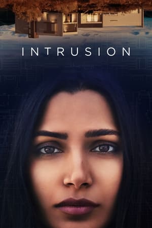 Intrusion (2021) Hindi Dual Audio [950MB] HD Poster Download - filmyfly