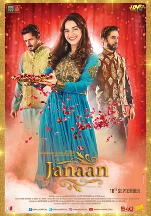 Janaan (2016) Movie Pakistani TVRip [700MB] Download