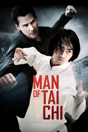 Man of Tai Chi (2013) Hindi Dual Audio – HD Poster Download - filmyfly