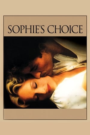 Sophie's Choice (1982) Dual Audio Hindi Full Movie - 1.1GB HD Poster Download - filmyfly