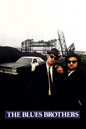 The Blues Brothers (1980) Hindi Dual Audio [1.3GB] ESubs HD Poster Download - filmyfly
