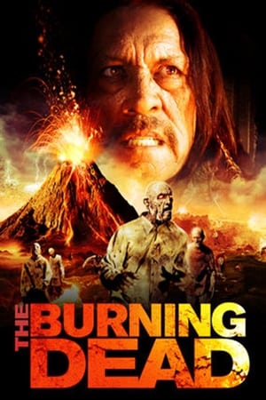 The Burning Dead (2015) Hindi Dual Audio [750MB] HD Poster Download - filmyfly