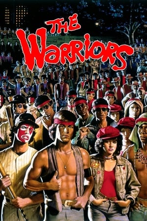 The Warriors 1979 Hindi Dual Audio 300MB HD Poster Download - filmyfly