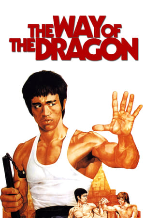 The Way of the Dragon (1972) Hindi Dual Audio [940MB] HD Poster Download - filmyfly