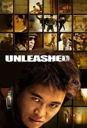 Unleashed (2005) Hindi Dual Audio [1.1GB] HD Poster Download - filmyfly