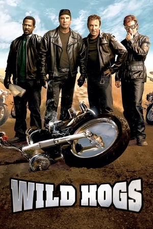 Wild Hogs (2007) Hindi Dual Audio [750MB] HD Poster Download - filmyfly
